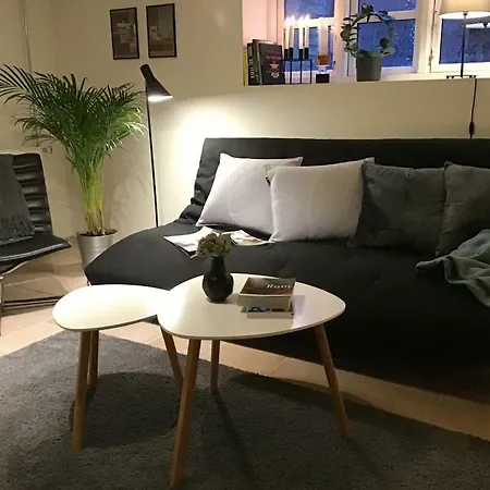 Special Offer,one Of Its Kind, Extremely Central In Herning, Danish Hosts, Extremely Clean, Very Quiet Street But A Stonethrough From Bars & Restaurants Herning