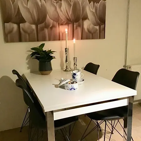 Lägenhet Special Offer,one Of Its Kind, Extremely Central In Herning, Danish Hosts, Extremely Clean, Very Quiet Street But A Stonethrough From Bars & Restaurants