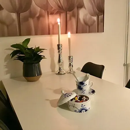 Lägenhet Special Offer,one Of Its Kind, Extremely Central In Herning, Danish Hosts, Extremely Clean, Very Quiet Street But A Stonethrough From Bars & Restaurants