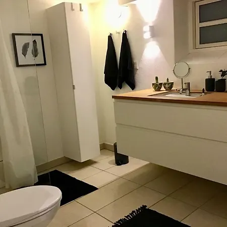 Special Offer,one Of Its Kind, Extremely Central In Herning, Danish Hosts, Extremely Clean, Very Quiet Street But A Stonethrough From Bars & Restaurants Apartment Herning