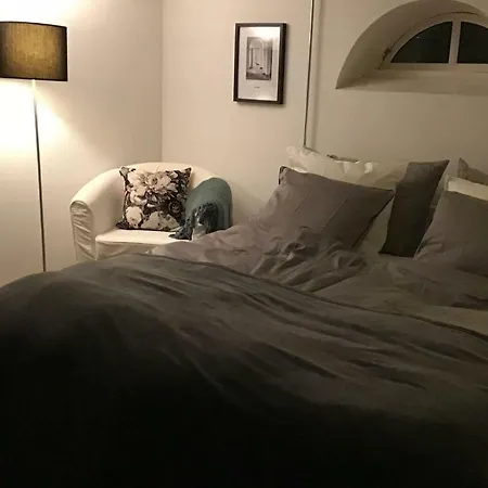 Apartment Special Offer,one Of Its Kind, Extremely Central In Herning, Danish Hosts, Extremely Clean, Very Quiet Street But A Stonethrough From Bars & Restaurants Herning