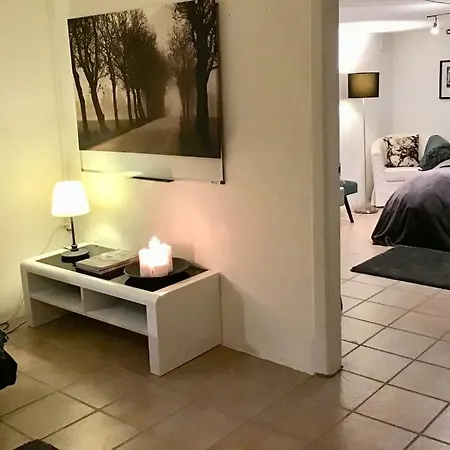 Special Offer,one Of Its Kind, Extremely Central In Herning, Danish Hosts, Extremely Clean, Very Quiet Street But A Stonethrough From Bars & Restaurants Herning
