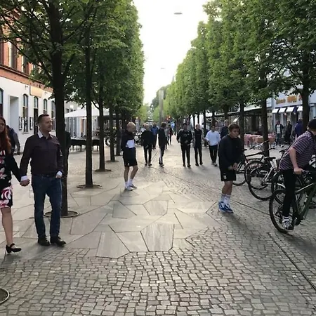 Special Offer,one Of Its Kind, Extremely Central In Herning, Danish Hosts, Extremely Clean, Very Quiet Street But A Stonethrough From Bars & Restaurants * Herning